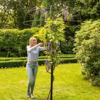 Växtstöd Harrod Wisteria Umbrella, svart